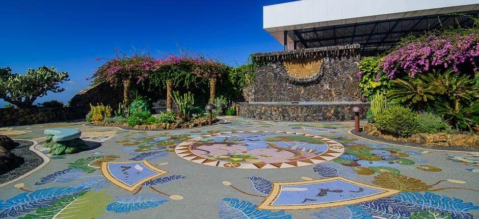 Museo del Vino de La Palma + Bodegas de La Palma