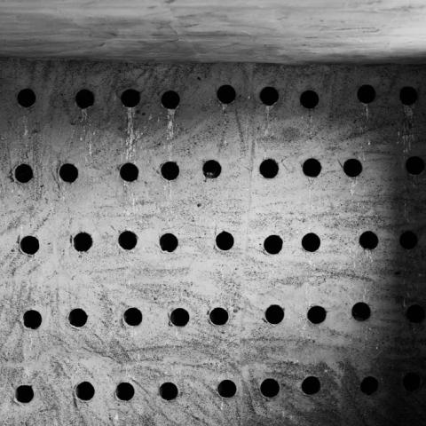 felicidadterrena_danielfleitas