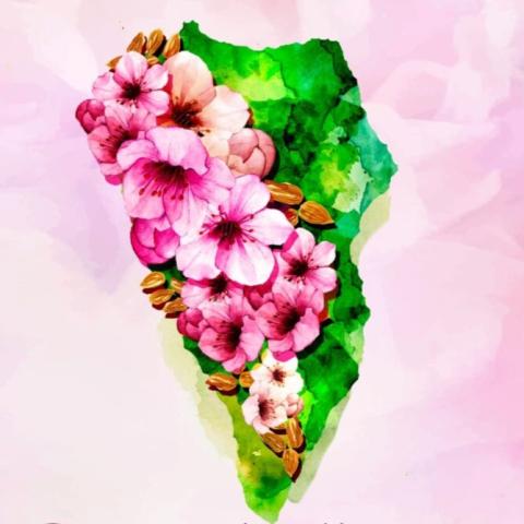 fiesta-almendro1-724x1024