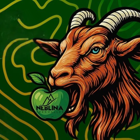 neblina_tres_valles_2025