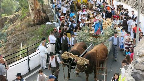 romeria_de_los_labradores_sta_lucia_de_tirajana
