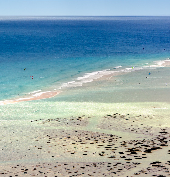 Playa de Sotavento - listado