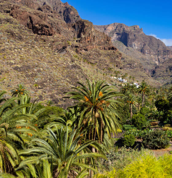 Barranco de Santiago