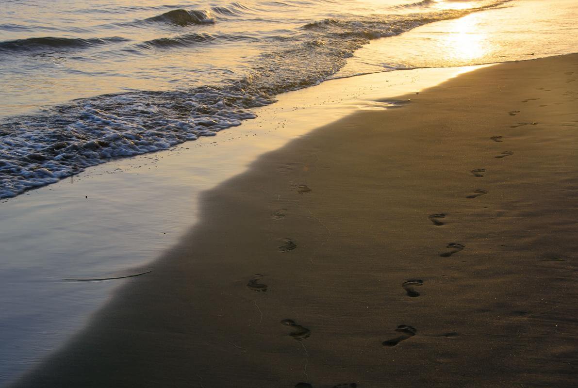 Excursión a la playa de Maspalomas, al sur de la isla - galeria4