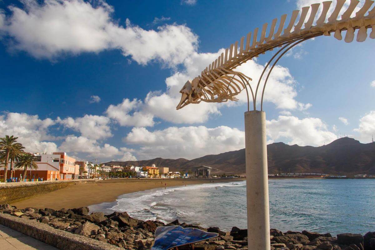 Ruta en coche por el centro de Fuerteventura - galeria2