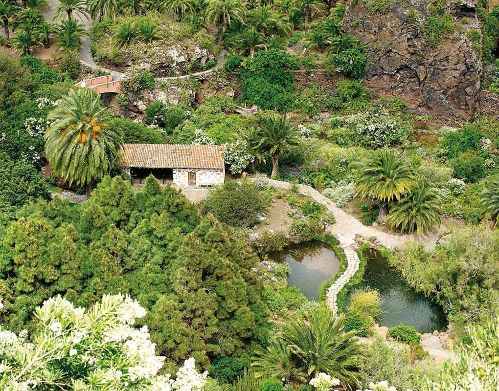 Jardín botánico Viera y Clavijo - galeria1