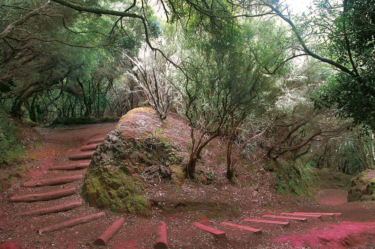 Parque Rural de Anaga, en Tenerife