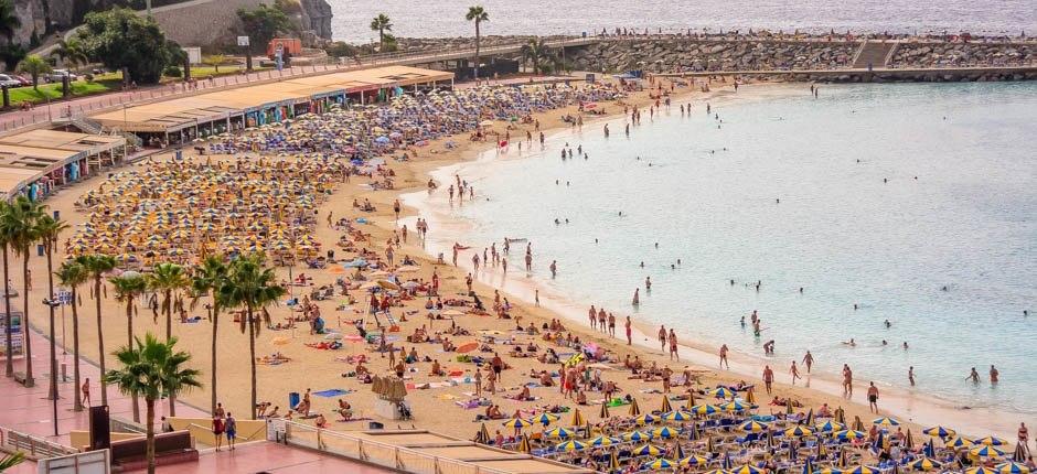 Praia de Amadores Praias populares de Gran Canaria