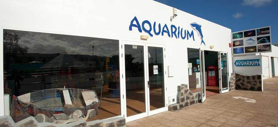 Aquarium + Aquários de Lanzarote
