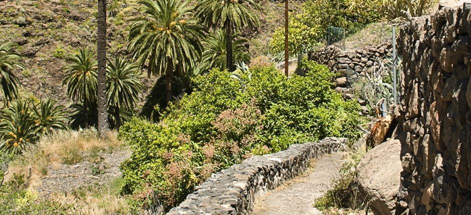 Playa Santiago-Benchijigua + Veredas de La Gomera