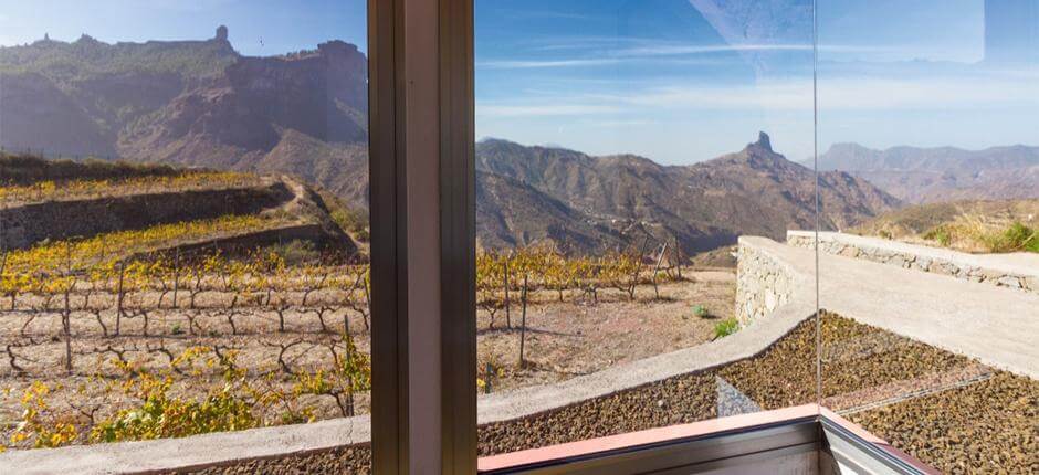 Bodega Bentayga em Gran Canaria