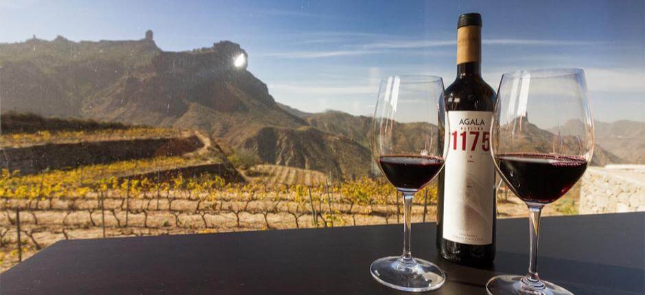 Bodega Bentayga em Gran Canaria