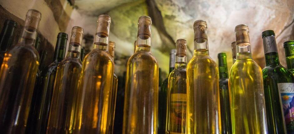 Bodega Los Berrazales + Bodegas de Gran Canaria