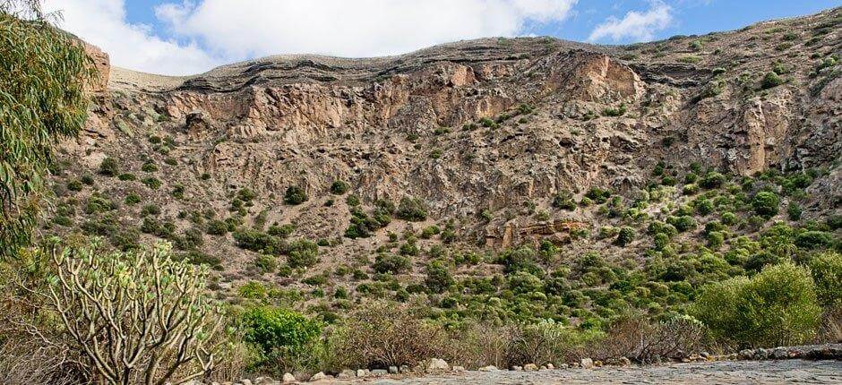 Caldeira de Bandama + Veredas de Gran Canária