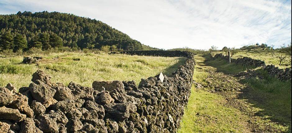 Camino de la Virgen + Veredas de El Hierro