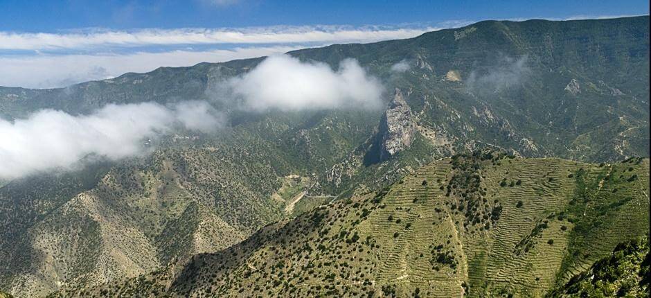 Circular de Vallehermoso + Veredas de La Gomera