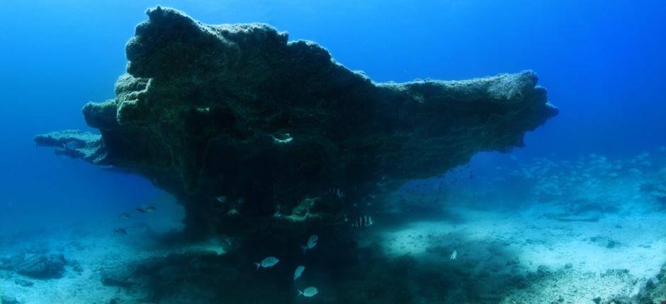 Bucear en Bajón del Río, en Fuerteventura