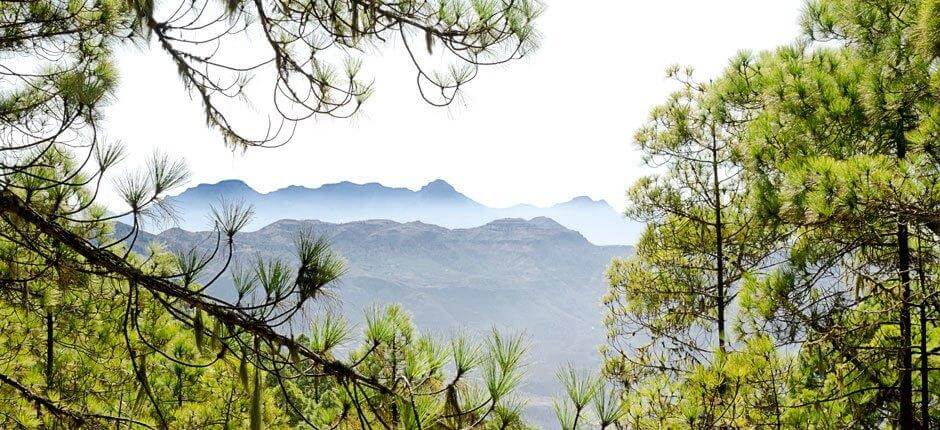 Escalada em Tamadaba + Escalada em Gran Canaria