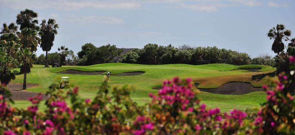 Golf del Sur + Campos de golfe de Tenerife