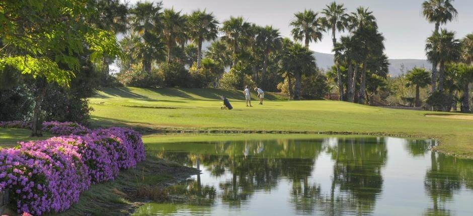 Golf Las Americas + Campos de golfe de Tenerife 