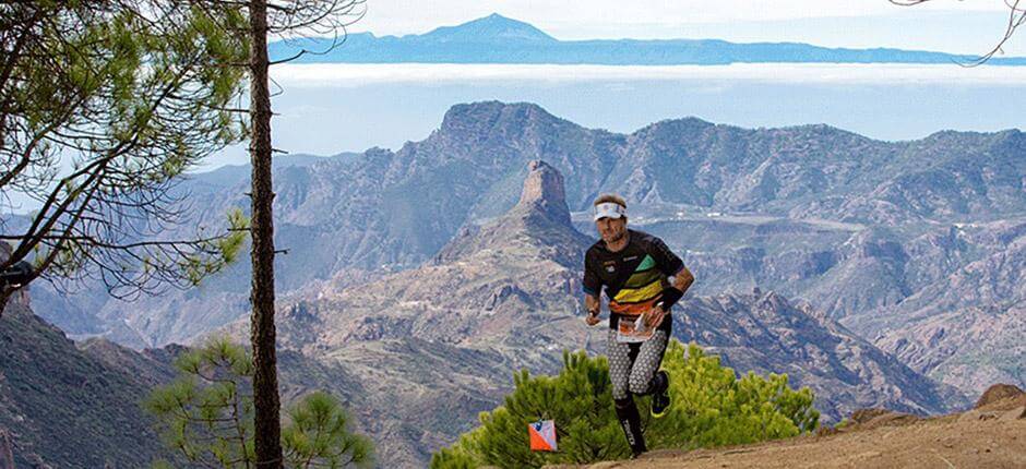 Llanos de la Pez. Orientación de Gran Canaria