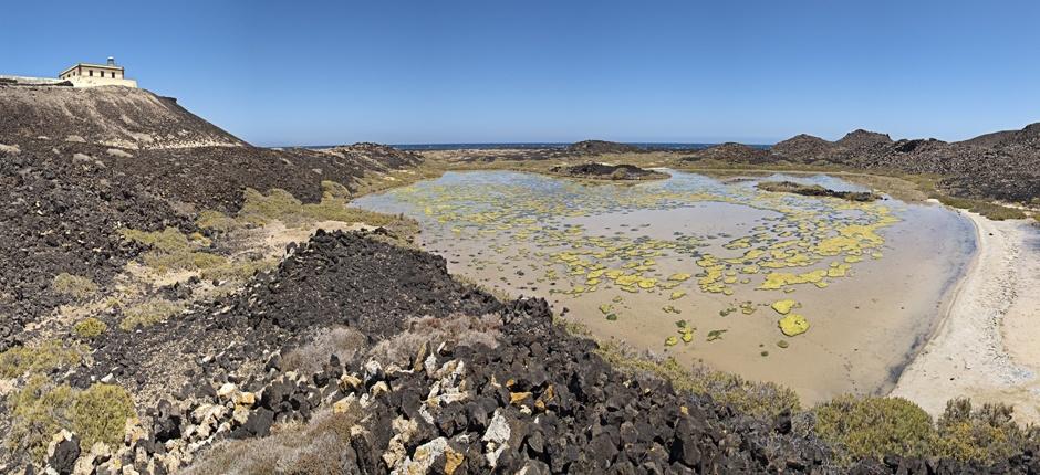 Ilhota de Lobos + Veredas de Fuerteventura