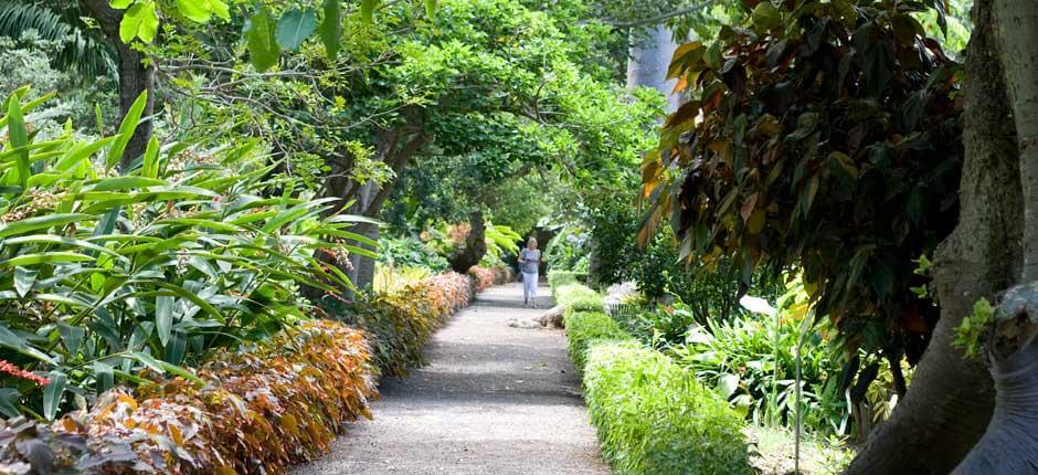 Jardín de Aclimatación de La Orotava (Jardim Botânico) Museus e centros turísticos de Tenerife