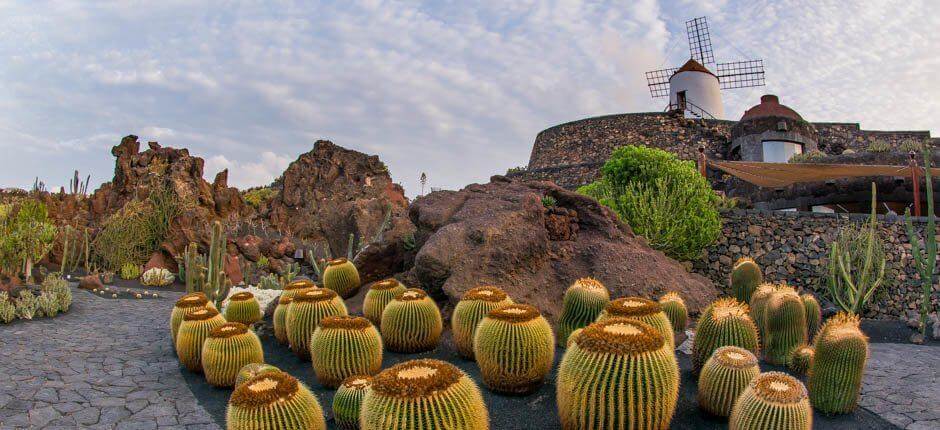 Jardín de Cactus (Jardim de Catos) Museus e centros turísticos de Lanzarote