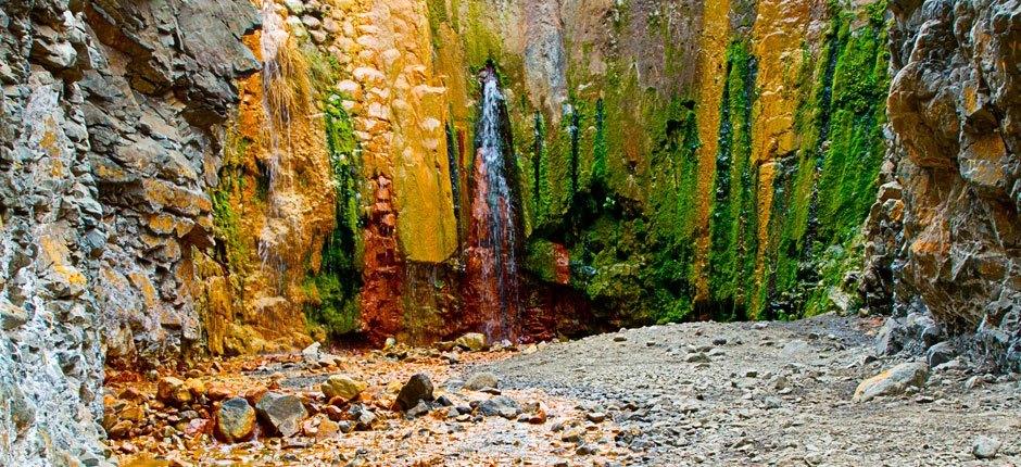 Caldera de Taburiente + Veredas de La Palma