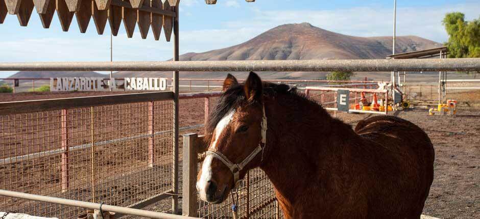 Lanzarote a Caballo Atrações turísticas de Lanzarote