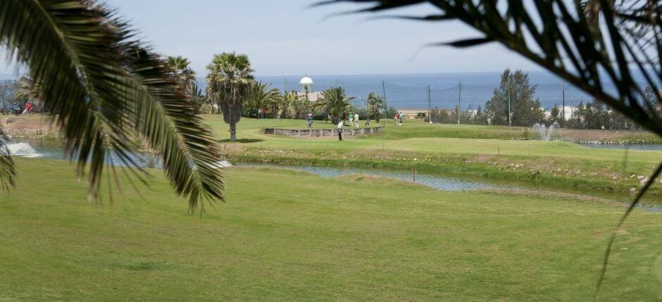 Las Palmeras Golf + campos de golf de Gran Canaria