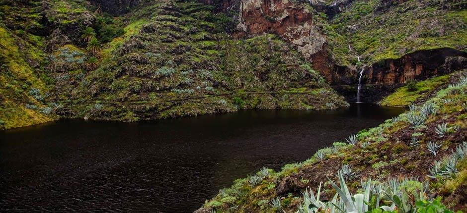 Chejelipes casarios de La Gomera