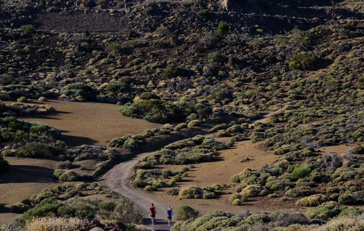 Los Cristianos - Teide-Trail