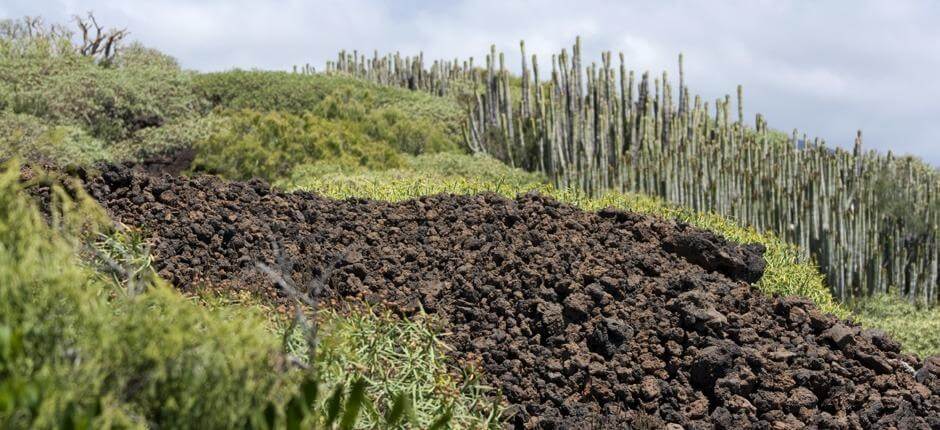 Malpaís de Güímar Espacios naturales de Tenerife