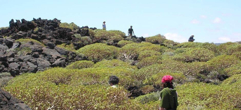 Malpaís de Güímar Espacios naturales de Tenerife