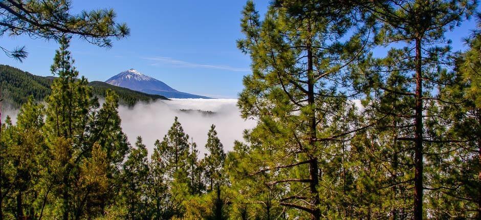 Miradouro de Ortuño em Tenerife