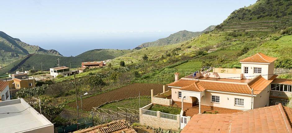 Monte del Agua + Veredas de Tenerife