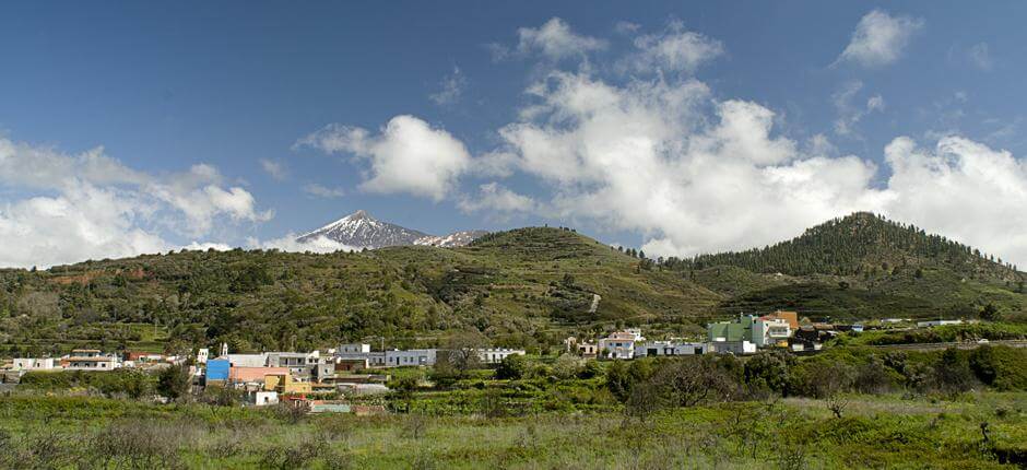 Monte del Agua + Veredas de Tenerife
