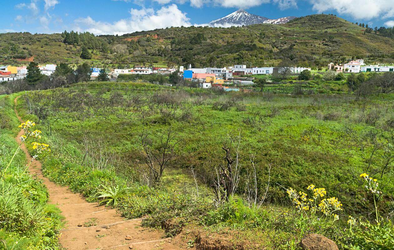 Monte del Agua. Senderos de Tenerife