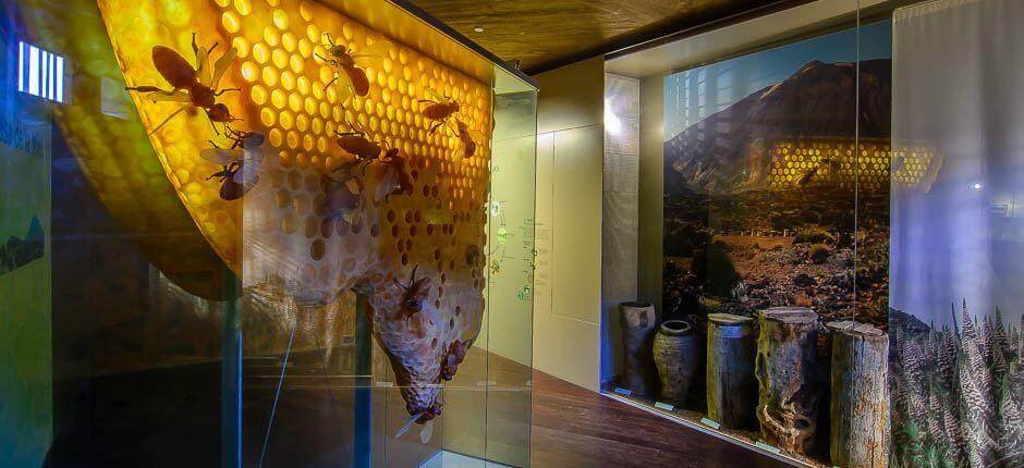 Casa del Vino y la Miel (Casa do Vinho e do Mel) Museus e centros turísticos de Tenerife
