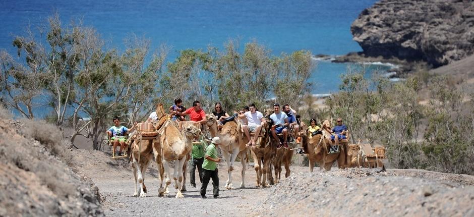 Oasis Park Fuerteventura + Jardins zoológicos de Fuerteventura