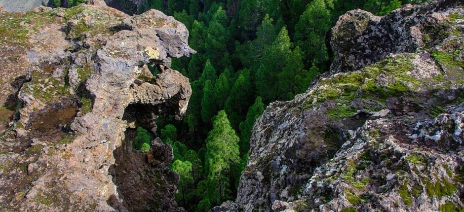 Parque Natural de Tamadaba, en Gran Canaria