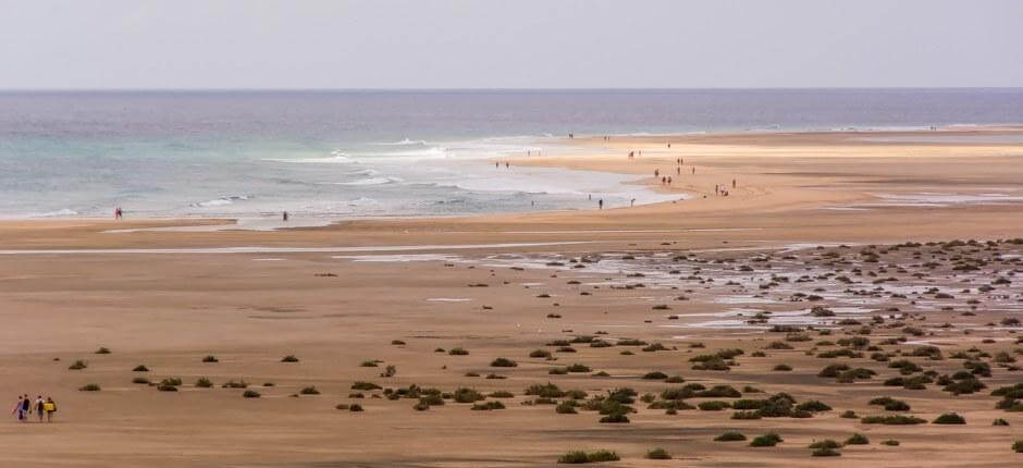 Kitesurf na Playa de Sotavento + Spot de kitesurf de Fuerteventura  