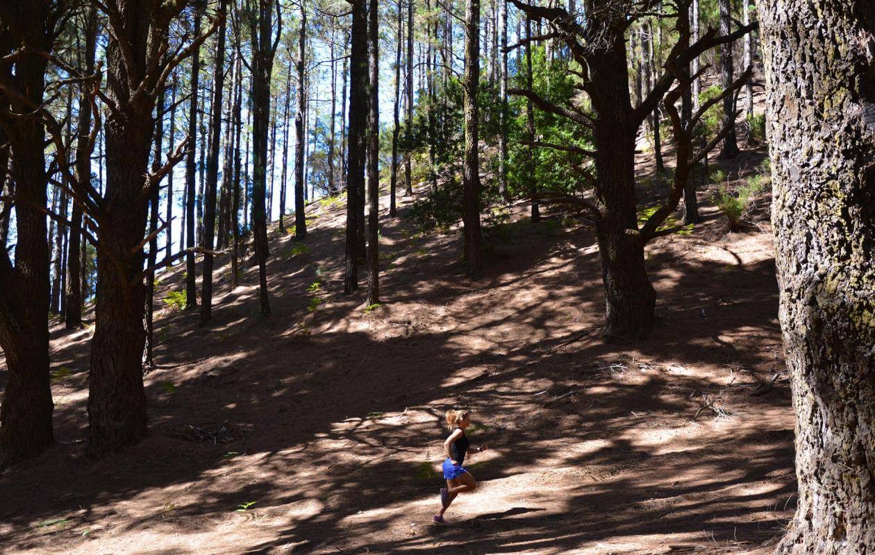 Roque de los Muchachos-Trail