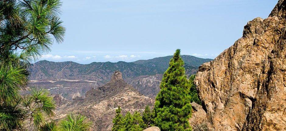 Rocha Nublo + Veredas de Gran Canária