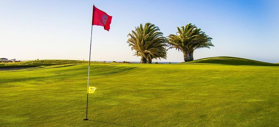 Golf Club Salinas de Antigua + Campos de golfe de Fuerteventura