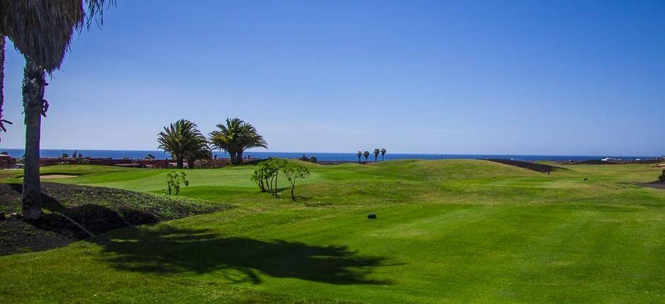 Golf Club Salinas de Antigua + Campos de golfe de Fuerteventura