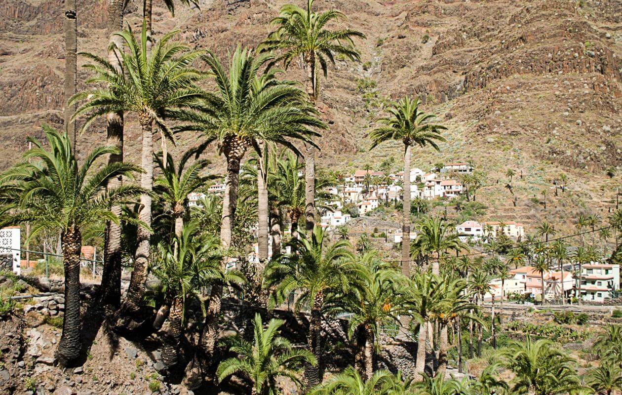 Valle Gran Rey-La Calera. Senderos de La Gomera