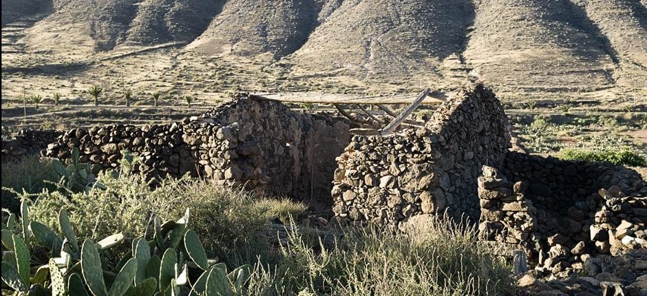 Vallebrón + Veredas de Fuerteventura