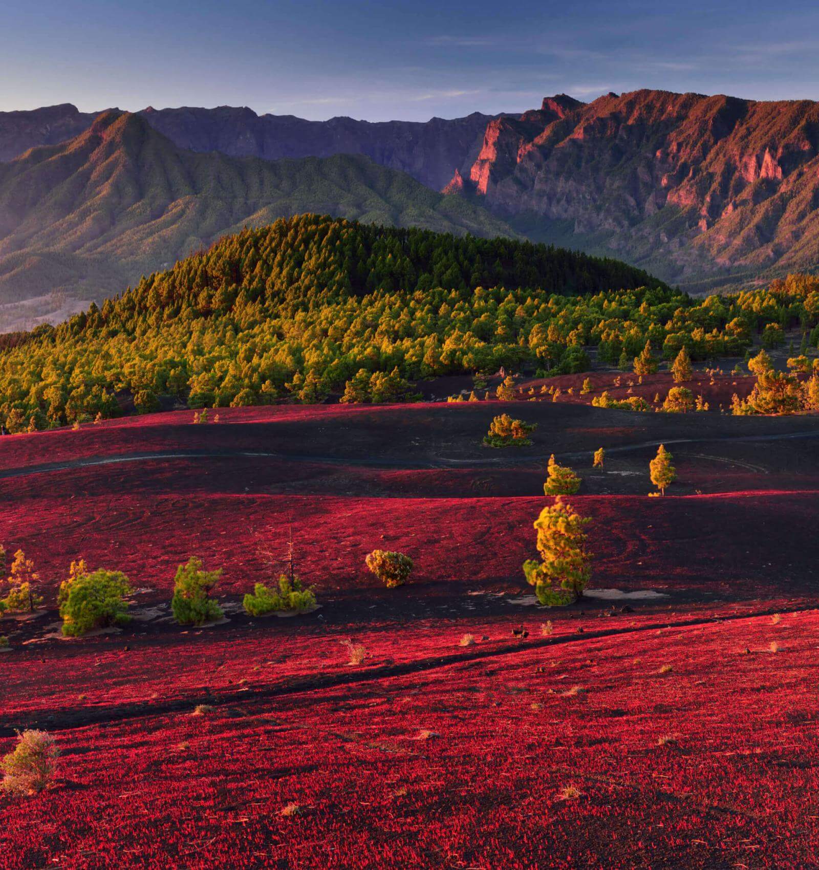 Llanos del Jable em La Palma, com uma planície vulcânica avermelhada, pinhal canário e montanhas ao fundo.